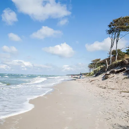 Seeschwalbe 33 Fuhlendorf