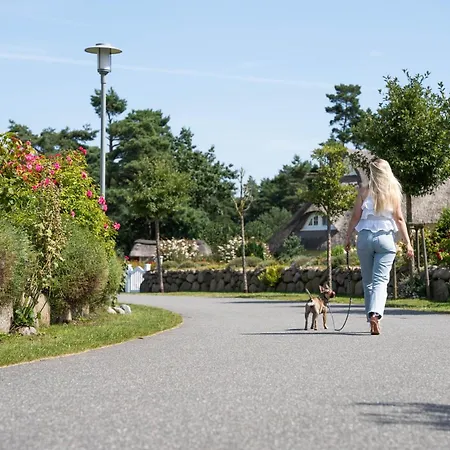 Nyaraló Seeschwalbe 33